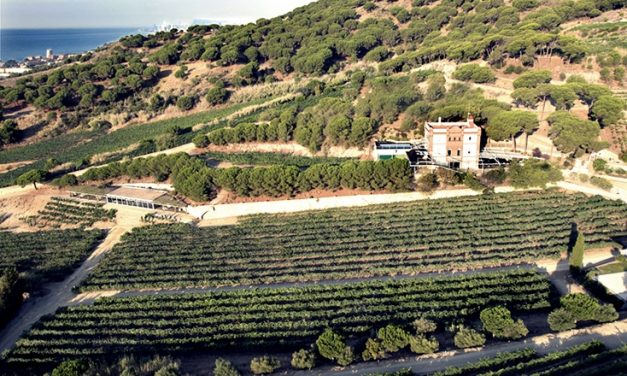 ALTA ALELLA MIRGIN y la cumbre del Cava