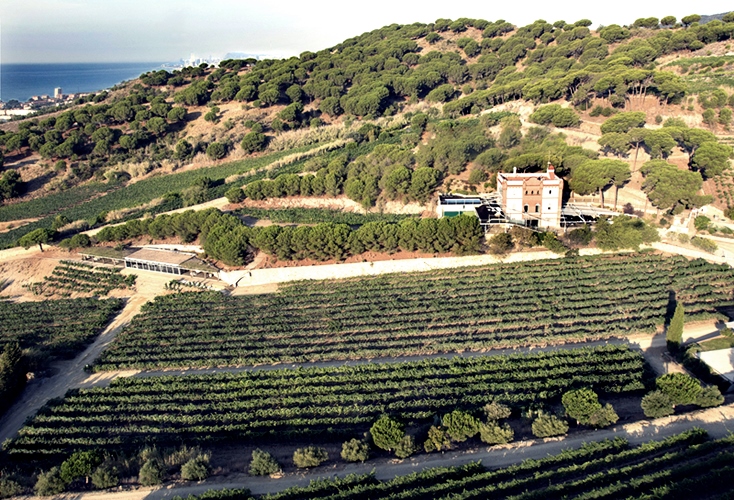 ALTA ALELLA MIRGIN y la cumbre del Cava