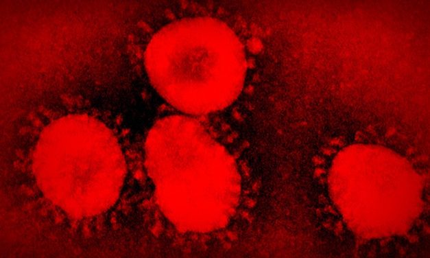 CÓMO HACER MÁS FÁCIL NUESTRO AISLAMIENTO ANTE EL  CORONAVIRUS por  Consuelo Tomás