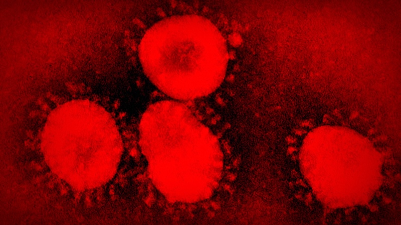 CÓMO HACER MÁS FÁCIL NUESTRO AISLAMIENTO ANTE EL  CORONAVIRUS por  Consuelo Tomás
